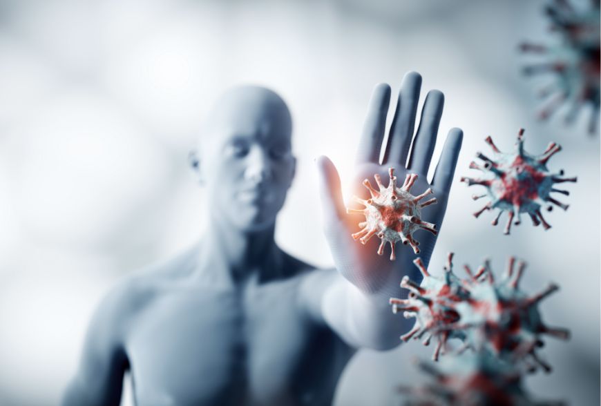 fortalecer sistema inmune